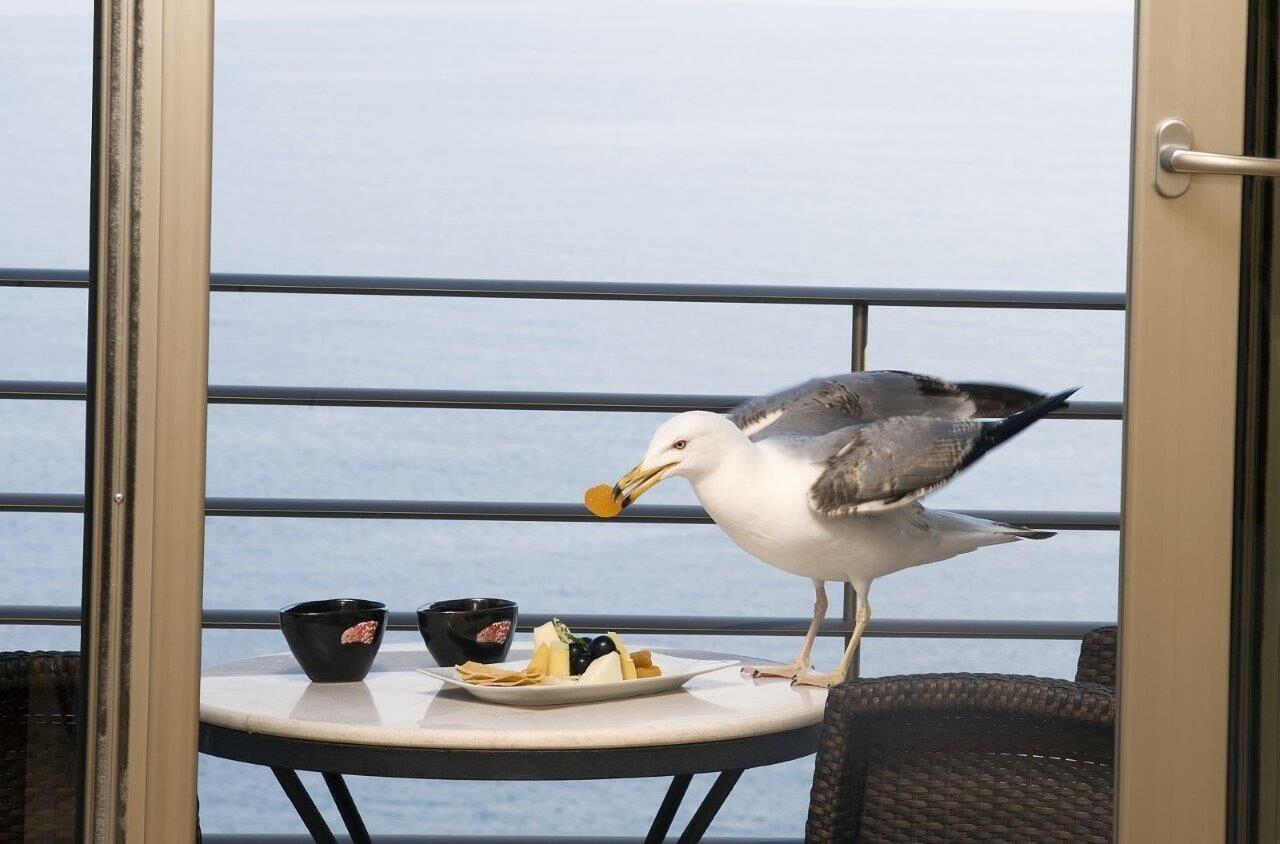 Cinar Hotel Istanbul Luaran gambar